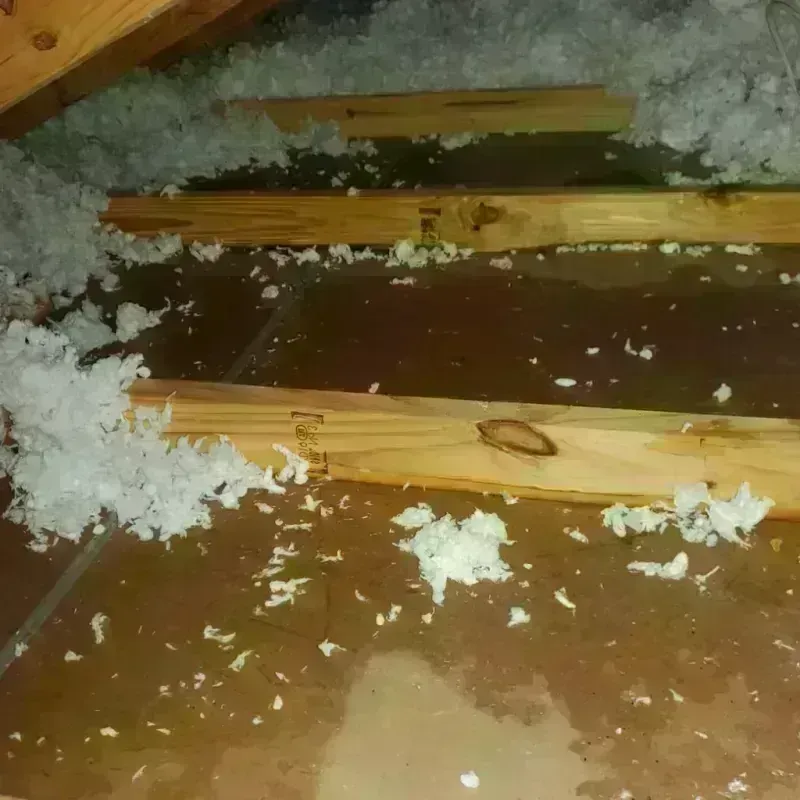 Attic Water Damage in Whitehall, NY